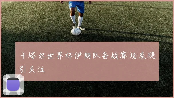 卡塔尔世界杯伊朗队备战赛场表现引关注