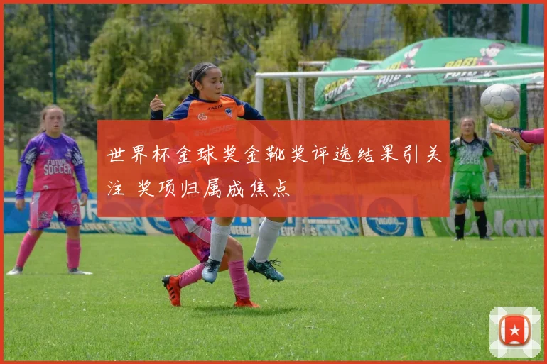 世界杯金球奖金靴奖评选结果引关注 奖项归属成焦点