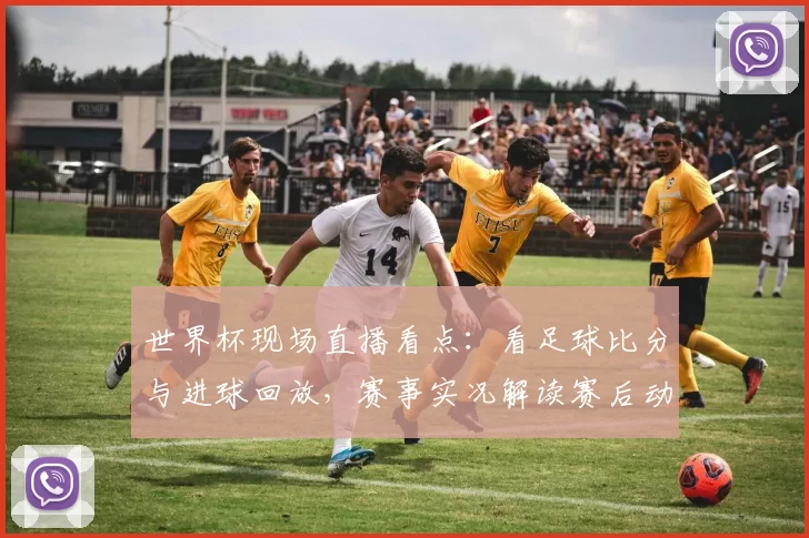 世界杯现场直播看点：看足球比分与进球回放，赛事实况解读赛后动态